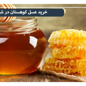 قیمت عسل کوهستان در شیراز